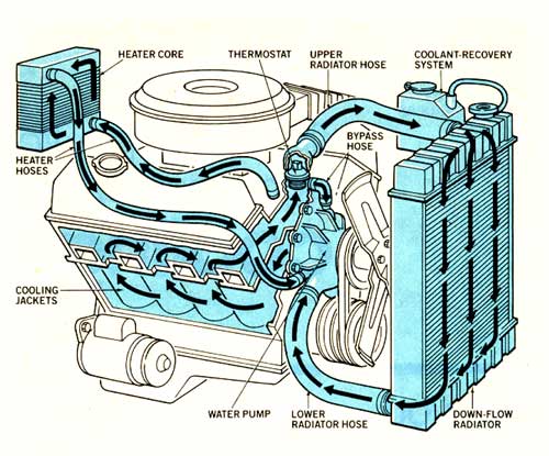 Can you put water in the engine coolant?