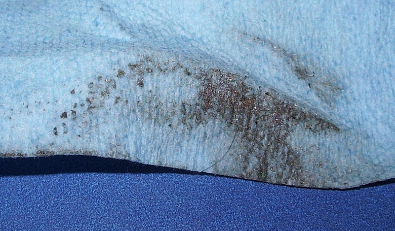 File:Ria gi filings etc cleaning1.jpg