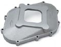 Raised Runner Intake Manifold Cove.jpg