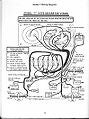 Modelt wiring diagram 1 1.jpg