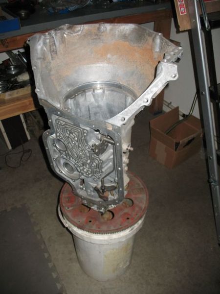 File:Trans holding bucket02.jpg