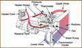 COOLING-SYSTEM-diag.1.jpg