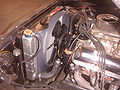 PICT0271-1.jpg